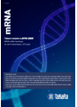최적의 mRNA synthesis tool_IVT 제품